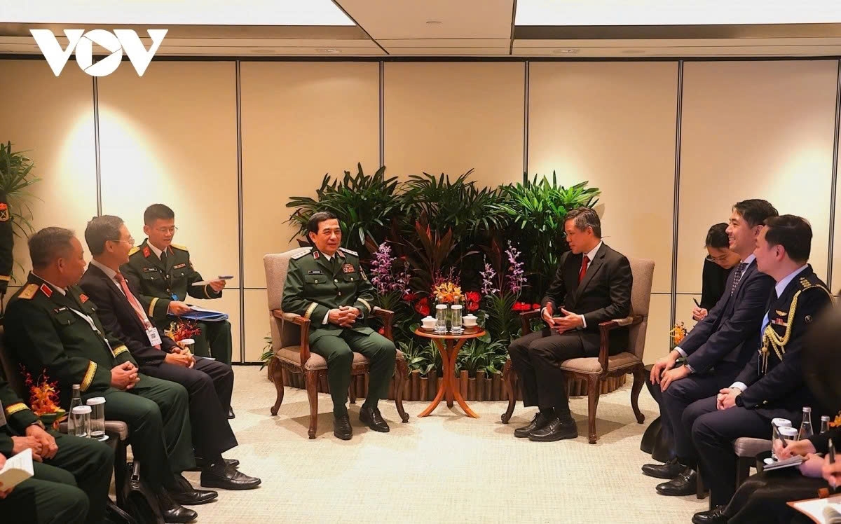 Vietnam and Singapore boost defence cooperation